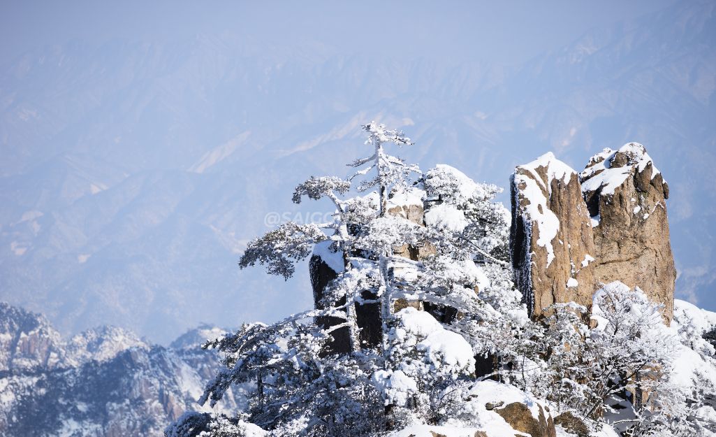 Bạn Đã Sẵn Sàng Chạm Vào Giấc Mơ Tuyết Trắng?