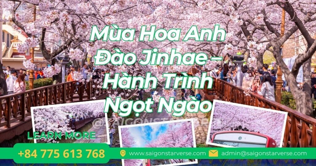 Cẩm Nang Toàn Tập: Chinh Phục Mùa Hoa Anh Đào Jinhae – Hành Trình Ngọt Ngào Nhất Thế Gian