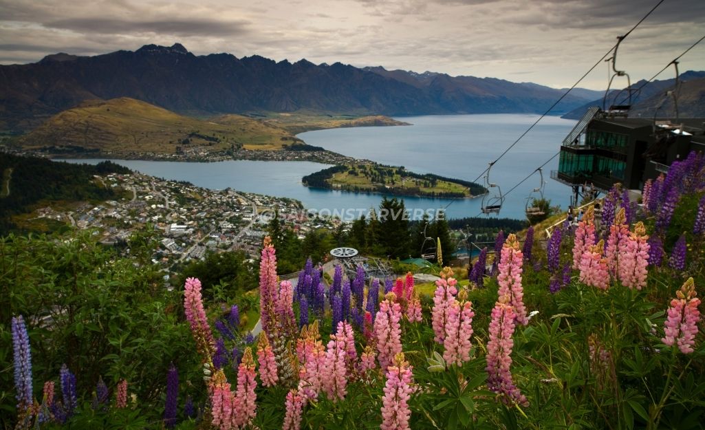 Thời Điểm Vàng Để Ghé Thăm Queenstown