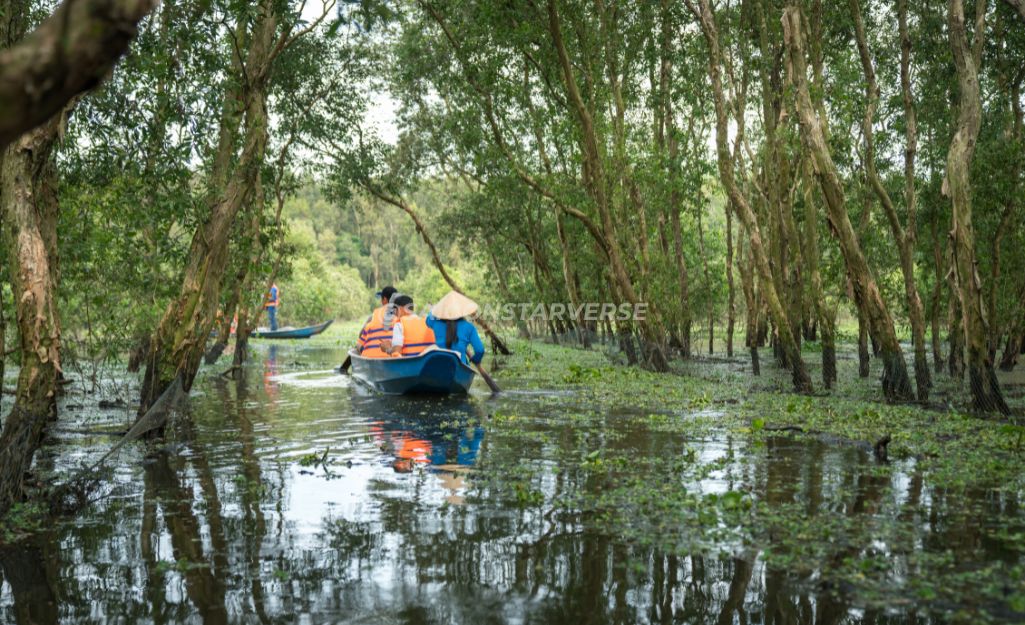 Rừng Tràm Trà Sư An Giang - khám phá sinh thái miền Tây cuối năm
