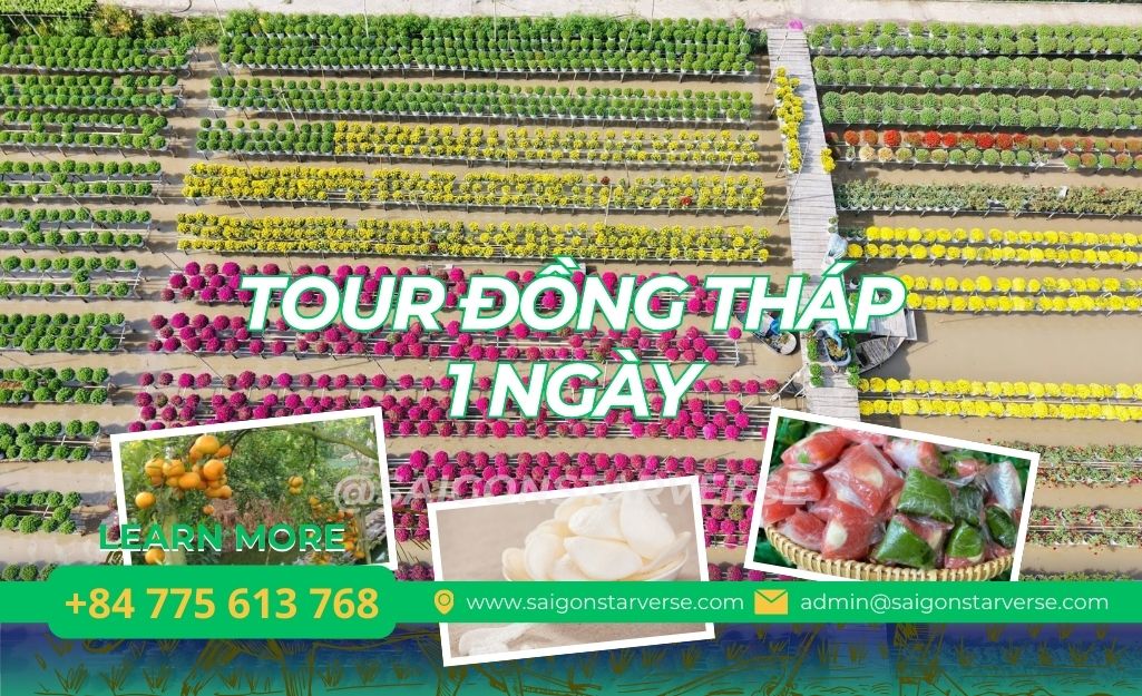 TOUR ĐỒNG THÁP 1 NGÀY