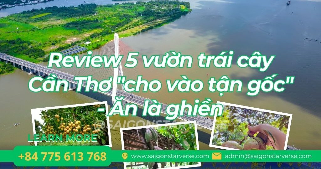 Review 5 vườn trái cây Cần Thơ "cho vào tận gốc" - Ăn là ghiền