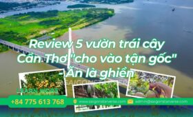 Review 5 vườn trái cây Cần Thơ "cho vào tận gốc" - Ăn là ghiền