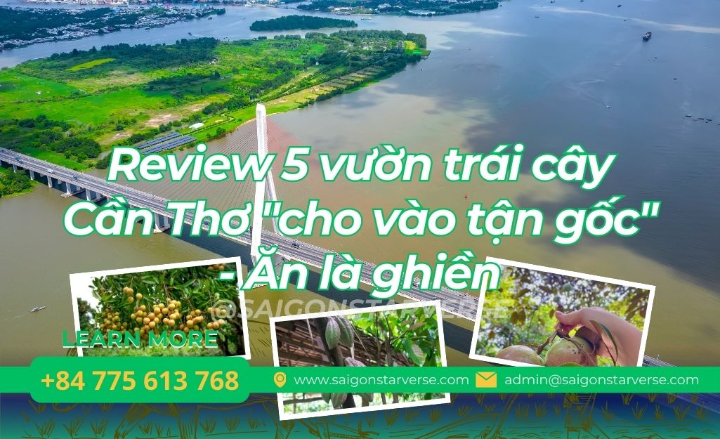 Review 5 vườn trái cây Cần Thơ "cho vào tận gốc" - Ăn là ghiền
