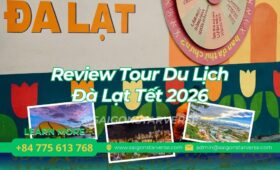 Review Chi Tiết Tour Du Lịch Đà Lạt Tết 2026: Phân Tích Chuyên Sâu Lịch Trình 3N3Đ và 3N2Đ