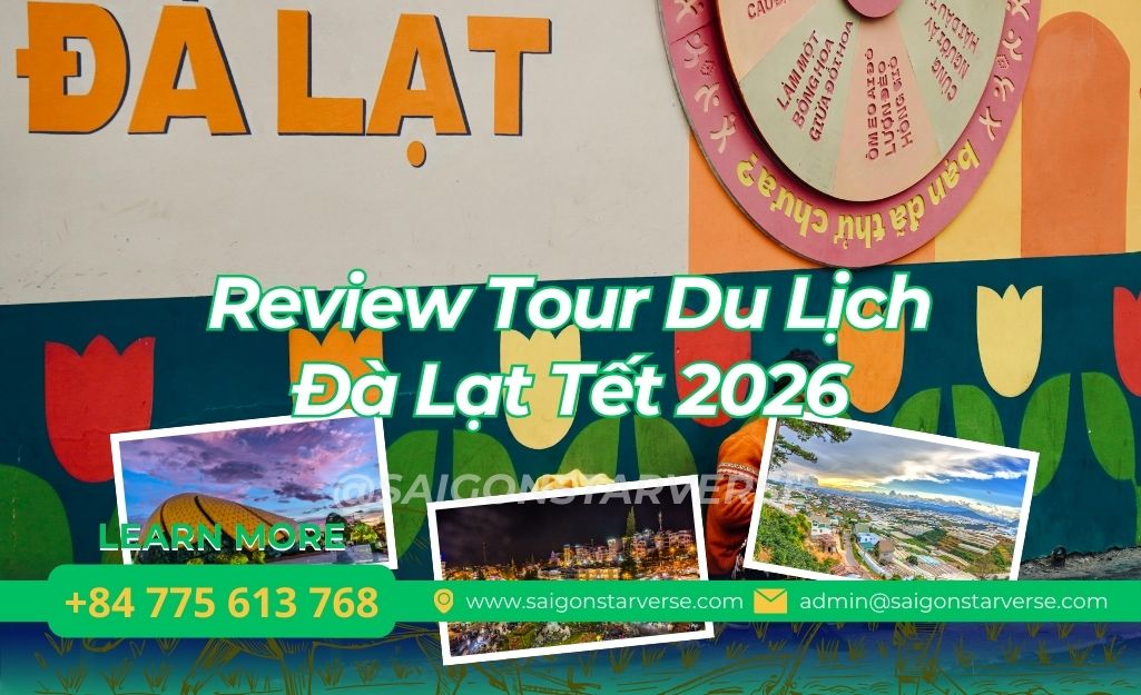 Review Chi Tiết Tour Du Lịch Đà Lạt Tết 2026: Phân Tích Chuyên Sâu Lịch Trình 3N3Đ và 3N2Đ