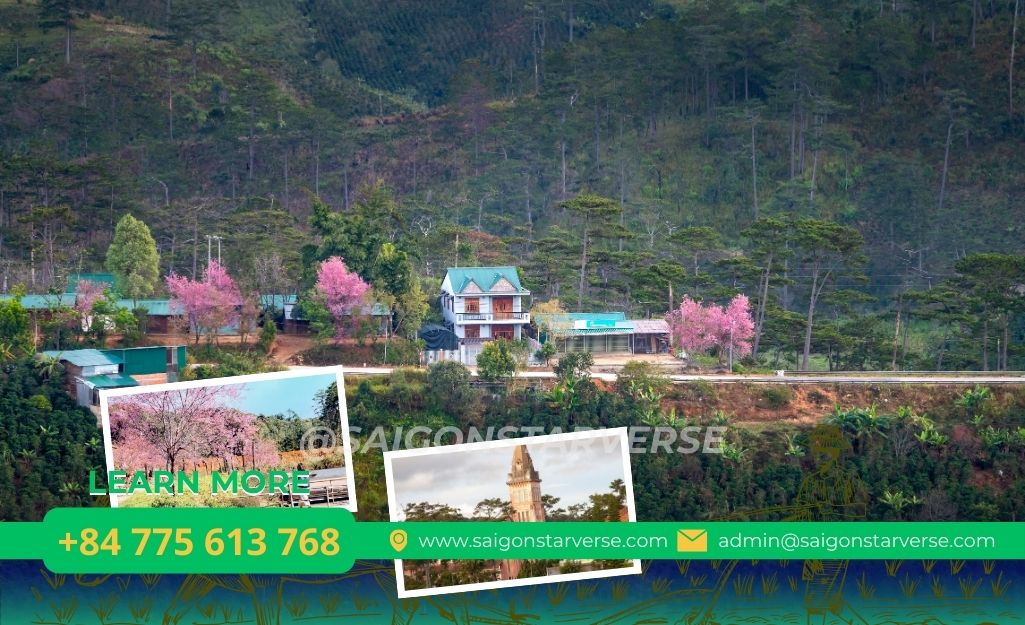 Top 10 điểm đến được quan tâm nhất trong tuần qua - Đà Lạt