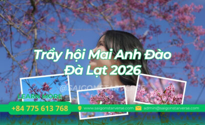 Lễ hội Mai anh đào Đà Lạt 2026 - Cảnh đẹp mùa xuân trên cao nguyên