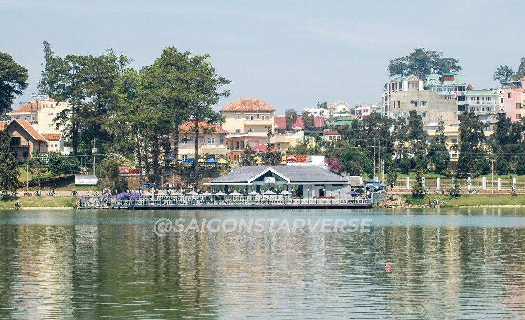 Trẩy hội Mai Anh Đào Đà Lạt 2026 - Dạo quanh Hồ Xuân Hương